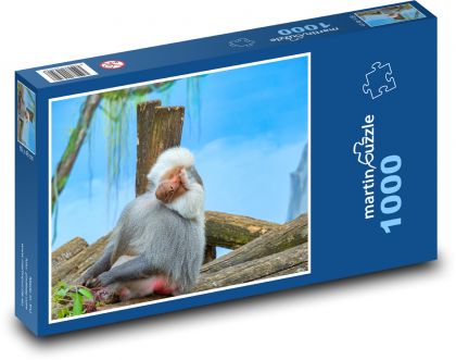 Baboon - gray monkey - Puzzle 1000 pieces, size 60x46 cm 