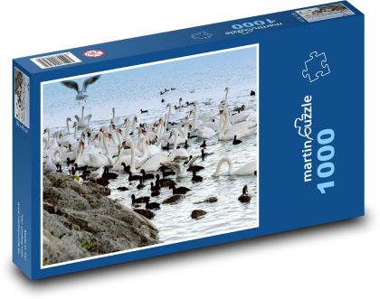 Labutě - ptáci, jezero - Puzzle 1000 dílků, rozměr 60x46 cm