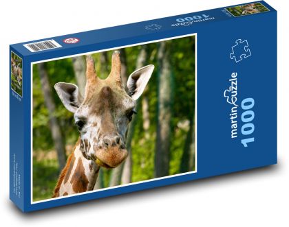 Żyrafa - Głowa żyrafy - Puzzle 1000 elementów, rozmiar 60x46 cm