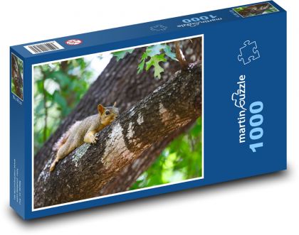 Squirrel - rodent, oak - Puzzle 1000 pieces, size 60x46 cm 