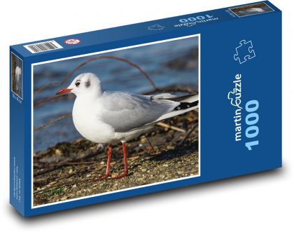 Möwe - Vogel, Meer - Puzzle - 1000 Teile