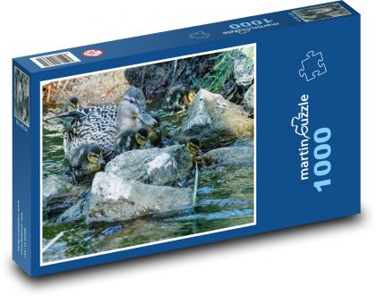 Kachna - mláďata, potok - Puzzle 1000 dílků, rozměr 60x46 cm
