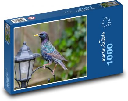 Špaček - pták, lampa - puzzle 1000 dílků
