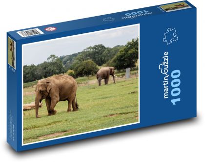 Slony - safari, príroda - Puzzle 1000 dielikov, rozmer 60x46 cm