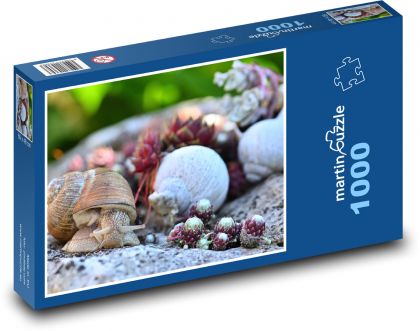 Ślimak - ślimak pełzający, muszla - Puzzle 1000 elementów, rozmiar 60x46 cm