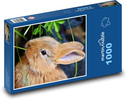 Králíček - roztomilé mládě, zvíře - puzzle 1000 dílků