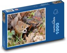 Myš - drevo, hlodavec Puzzle 1000 dielikov - 60 x 46 cm