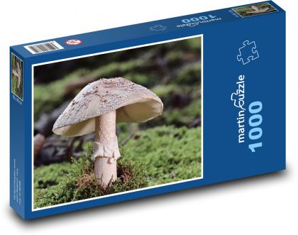 Mushroom - forest, nature - Puzzle 1000 pieces, size 60x46 cm 