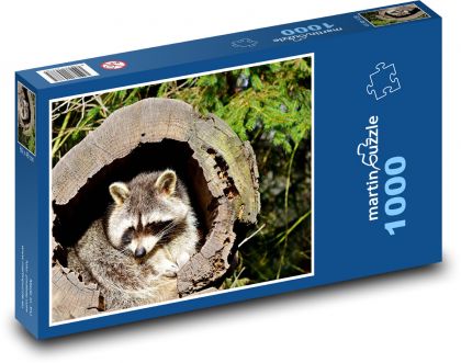 Waschbär - Tier, Baum - Puzzle - 1000 Teile