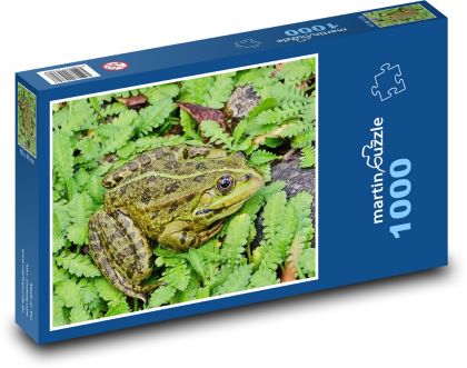 Žába - zvíře, obojživelník - Puzzle 1000 dílků, rozměr 60x46 cm