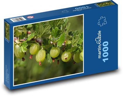 Stachelbeere - Frucht, Pflanze - Puzzle - 1000 Teile