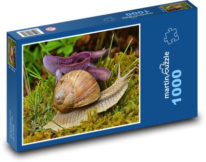 Snail - sponge, snail - Puzzle 1000 pieces, size 60x46 cm 