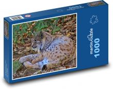 Rys - dravec, divoká zvěř Puzzle 1000 dílků - 60 x 46 cm