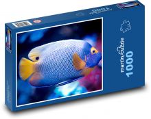 Ryba - voda, oceán Puzzle 1000 - 60x46 cm
