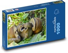 Hlemýžď - šnek, zvíře Puzzle 1000 - 60x46 cm