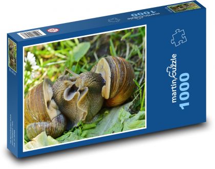 Schnecke - Schnecke, Tier - Puzzle - 1000 Teile