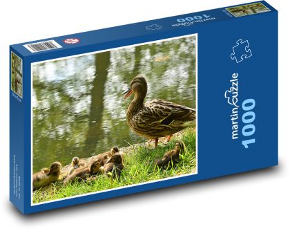 Duck - chicks, water bird - Puzzle 1000 pieces, size 60x46 cm 