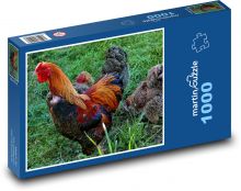Hahn - Henne, Vogel Puzzle 1000 Teile - 60 x 46 cm