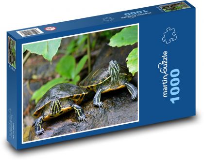 Želvy - plazy, zvířata - Puzzle 1000 dílků, rozměr 60x46 cm