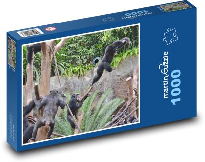Opice - zoo, mládě - puzzle 1000 dílků