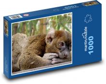 Lemur - zvíře, zoo Puzzle 1000 dílků - 60 x 46 cm