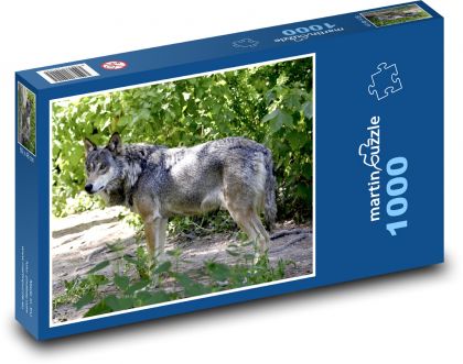 Vlk - lovec, dravec - Puzzle 1000 dílků, rozměr 60x46 cm