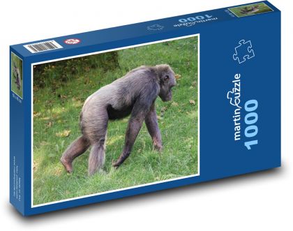 Monkey - chimpanzee, zoo - Puzzle 1000 pieces, size 60x46 cm 