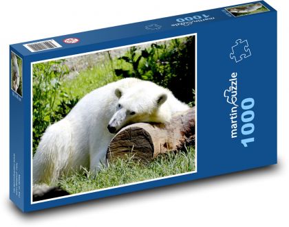 Lední medvěd - bílý, spát - Puzzle 1000 dílků, rozměr 60x46 cm