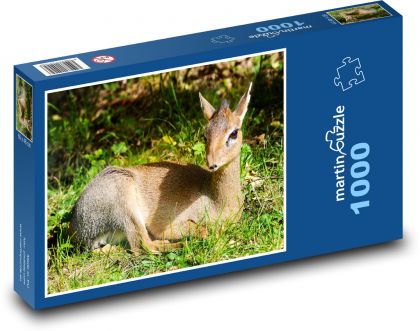 Srnka - mládě, zvíře - puzzle 1000 dílků