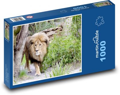 Löwe - Wildkatze, Raubtier - Puzzle - 1000 Teile
