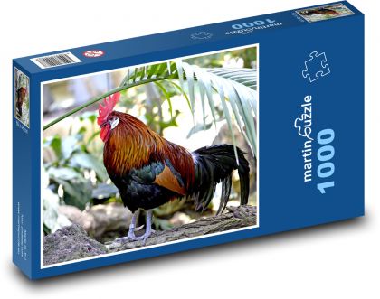 Kohout - peří, pták - puzzle 1000 dílků