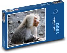 Pavián - opice, primát Puzzle 1000 dílků - 60 x 46 cm