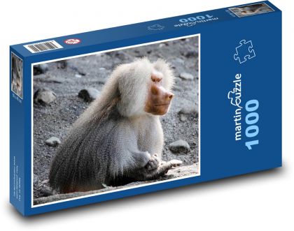 Pavián - opice, primát - puzzle 1000 dílků