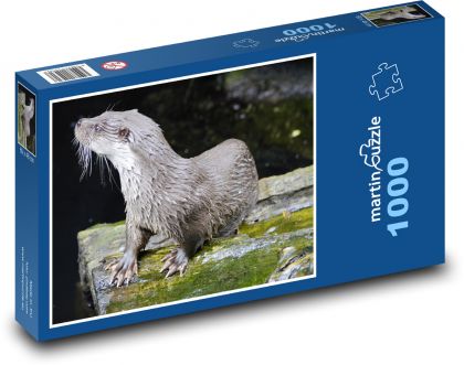 Vydra - vodní zvíře, voda  - Puzzle 1000 dílků, rozměr 60x46 cm