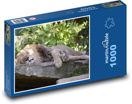 Lev - velká kočka, dravec - Puzzle 1000 dílků, rozměr 60x46 cm