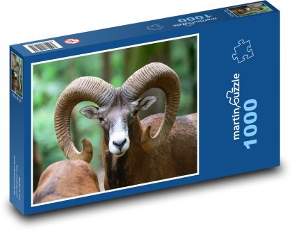 Muflón - baran, zviera - Puzzle 1000 dielikov, rozmer 60x46 cm