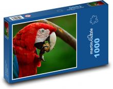 Ara - papoušek, červený pták Puzzle 1000 dílků - 60 x 46 cm