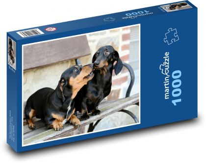 Jezevčík - pes, domácí zvíře - Puzzle 1000 dílků, rozměr 60x46 cm