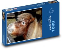 Shetlendian pony - colt, horse Puzzle 1000 pieces - 60 x 46 cm 