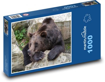 Medvěd - zvíře, zoo - Puzzle 1000 dílků, rozměr 60x46 cm