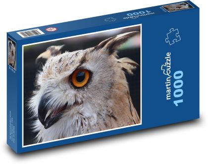 Výr - dravý pták, sova - Puzzle 1000 dílků, rozměr 60x46 cm