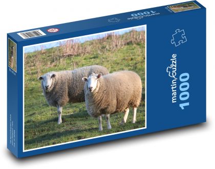 Ovce - pastvina, zvířata - Puzzle 1000 dílků, rozměr 60x46 cm
