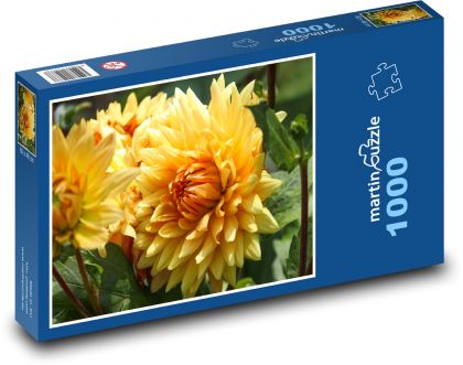 Žlté georgíny - kvety, záhrada - Puzzle 1000 dielikov, rozmer 60x46 cm