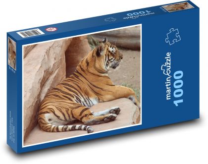 Tiger - big cat, predator - Puzzle 1000 pieces, size 60x46 cm 