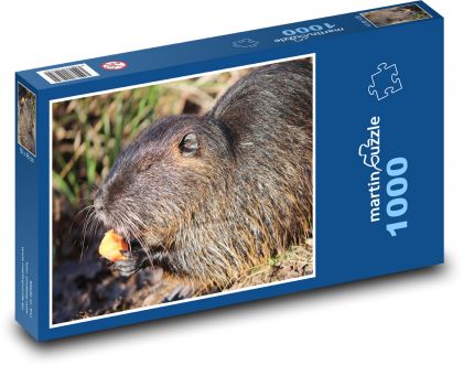 Nutria - hlodavec, zviera - Puzzle 1000 dielikov, rozmer 60x46 cm
