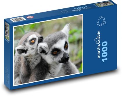 Lemuři - zvířata, zoo - puzzle 1000 dílků