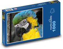 Ara - papuga, ptak Puzzle 1000 elementów - 60x46 cm