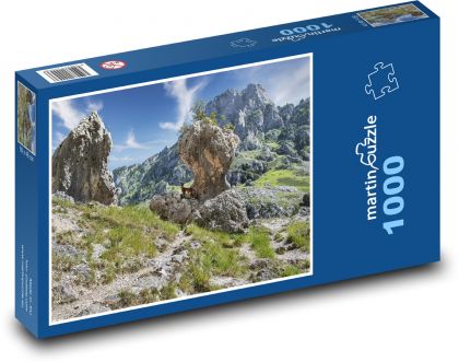 Skála - hora, turistika - puzzle 1000 dílků