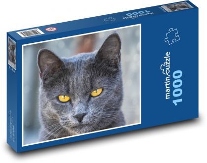 Black cat - pet, animal - Puzzle 1000 pieces, size 60x46 cm 