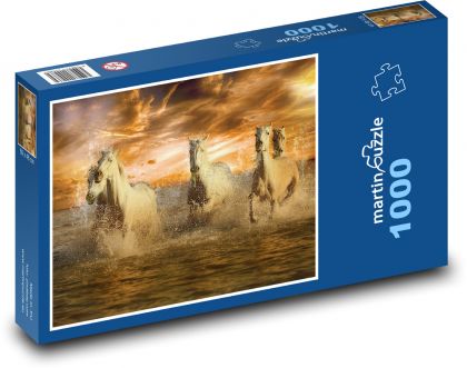 Běžící koně na pláži - pláž, západ slunce - Puzzle 1000 dílků, rozměr 60x46 cm